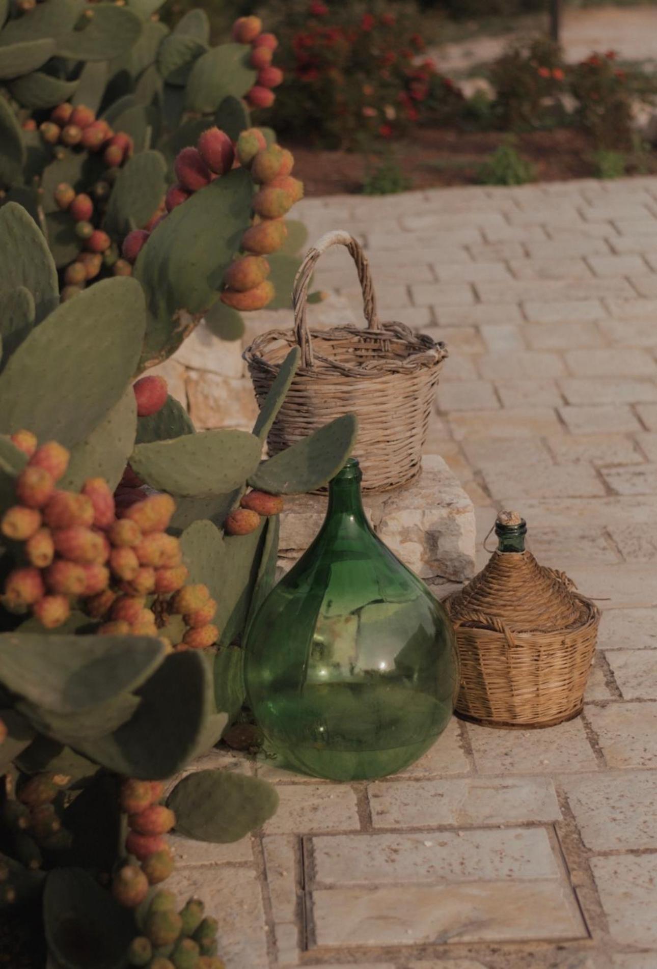 Dimora Le Ginestre Adults Only Bed & Breakfast Fasano Exterior photo